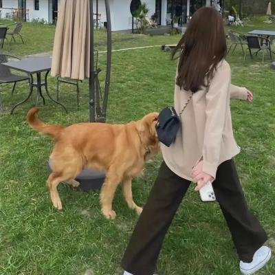 七女性粤语
